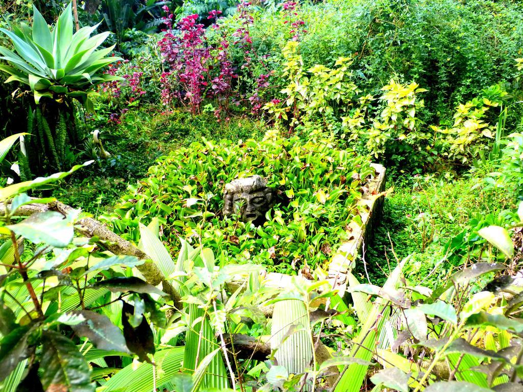 Pouso Das Glicinias - B&B Ouro Preto  Exterior photo